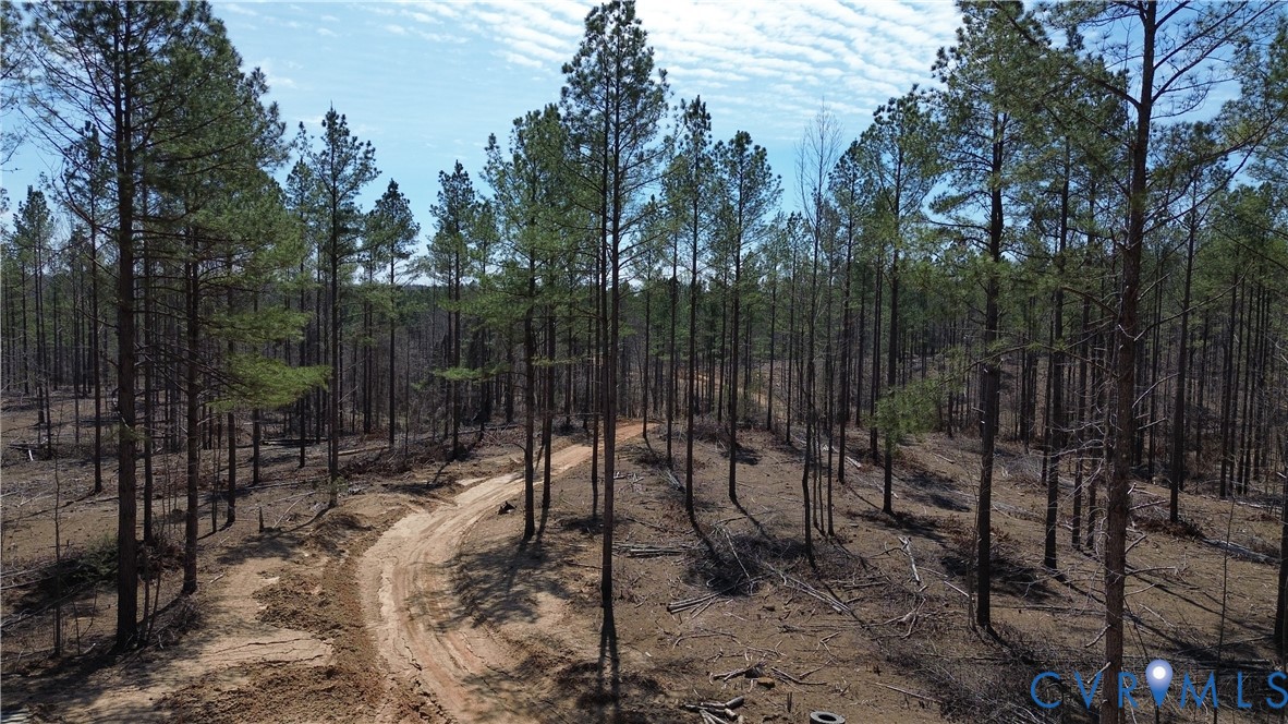 2028 Cook Road Powhatan, VA 23139 - Photo 19 of 22