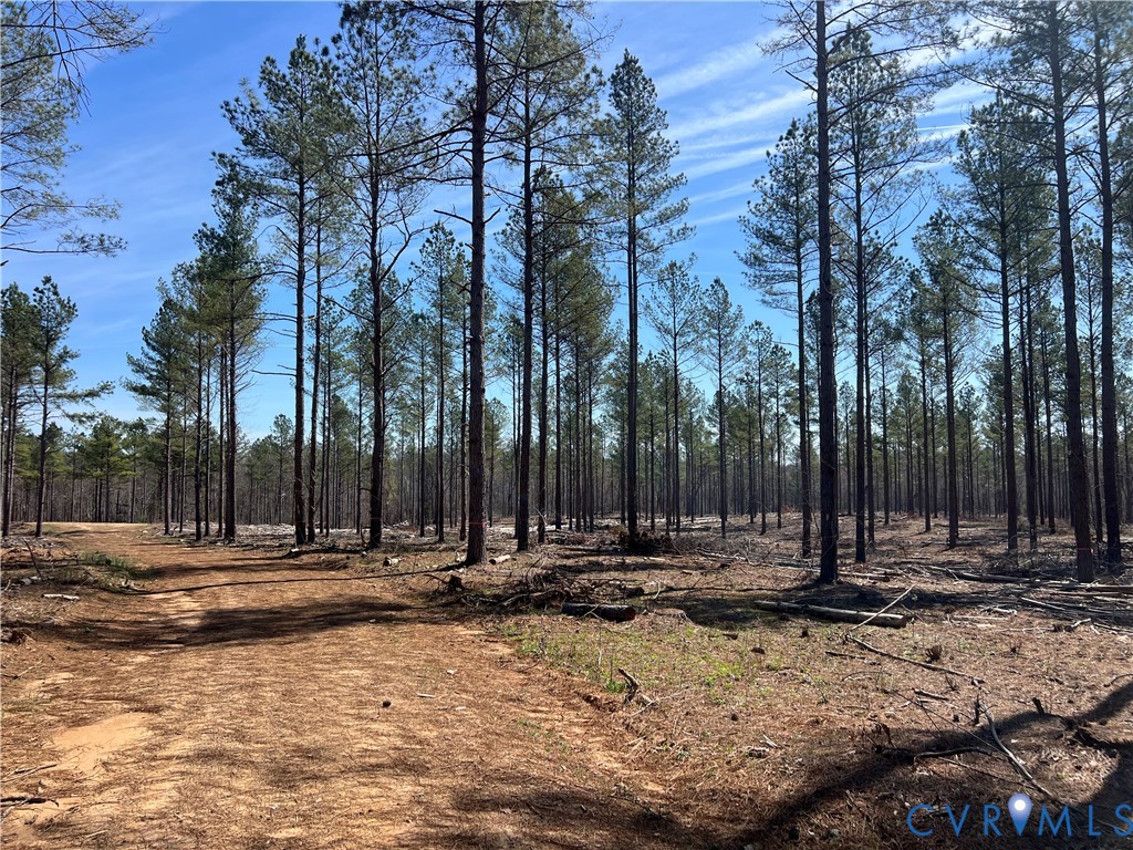 2028 Cook Road Powhatan, VA 23139 - Photo 21 of 22