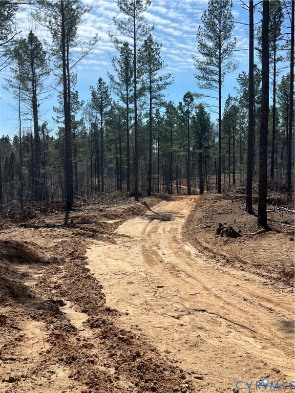 2028 Cook Road Powhatan, VA 23139 - Photo 22 of 22