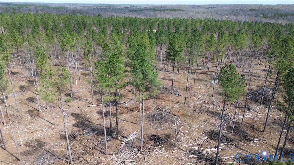 2028 Cook Road Powhatan, VA 23139 - Photo 8 of 22