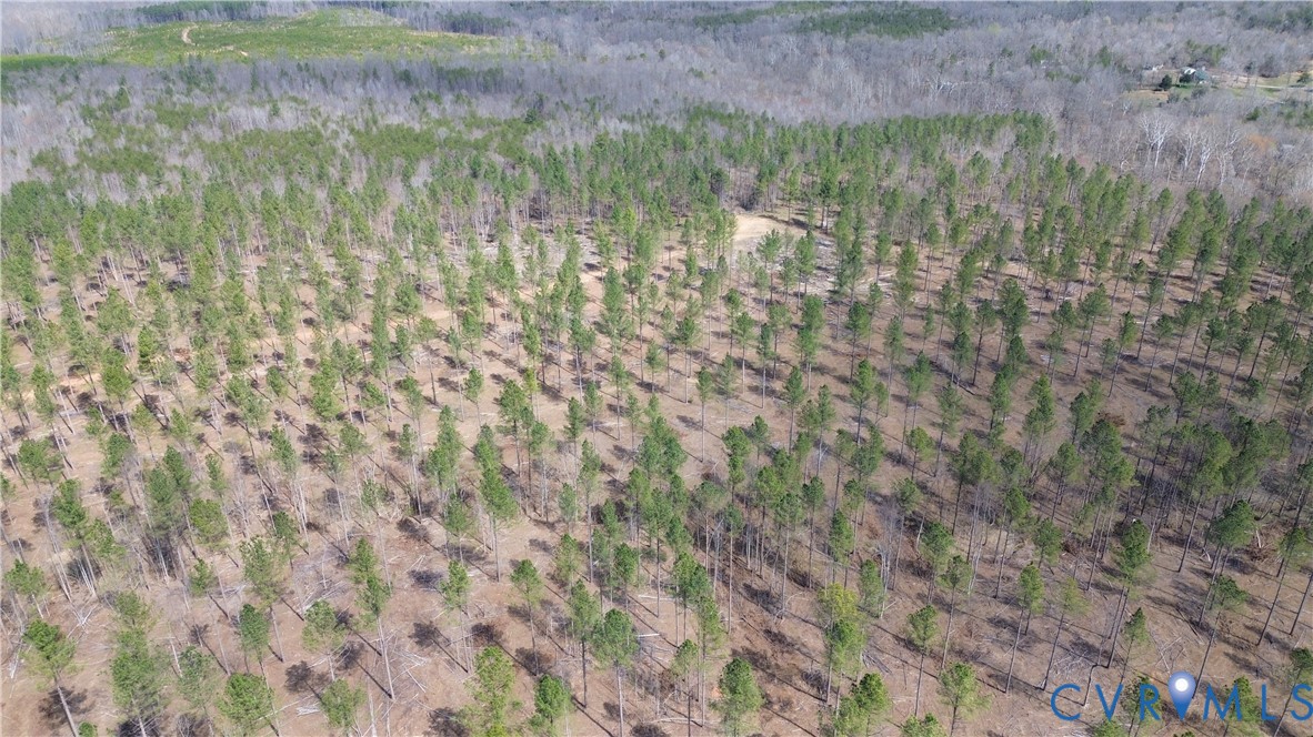 2028 Cook Road Powhatan, VA 23139 - Photo 9 of 22