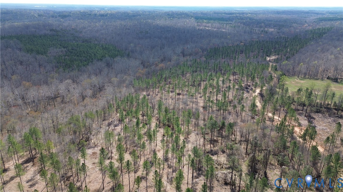 2028 Cook Road Powhatan, VA 23139 - Photo 10 of 22