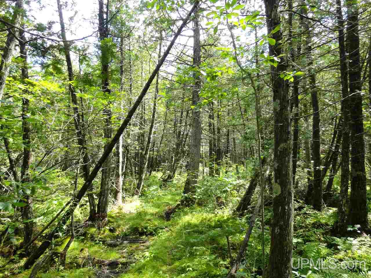 2 Rd Rock Mi 49880 Road Rock, MI 49880 - Photo 29 of 39