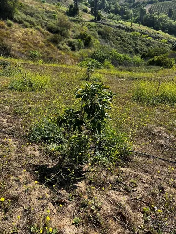 $375,000 | 24385 Terreno Drive, Temecula, CA 92590