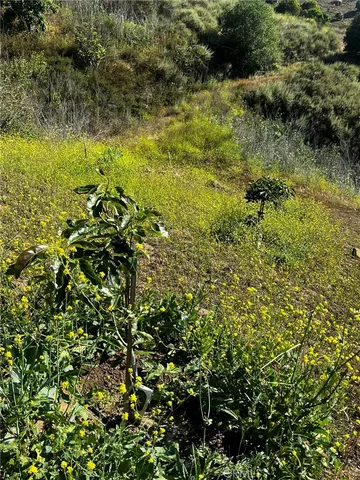 $375,000 | 24385 Terreno Drive, Temecula, CA 92590