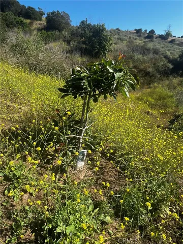 $375,000 | 24385 Terreno Drive, Temecula, CA 92590