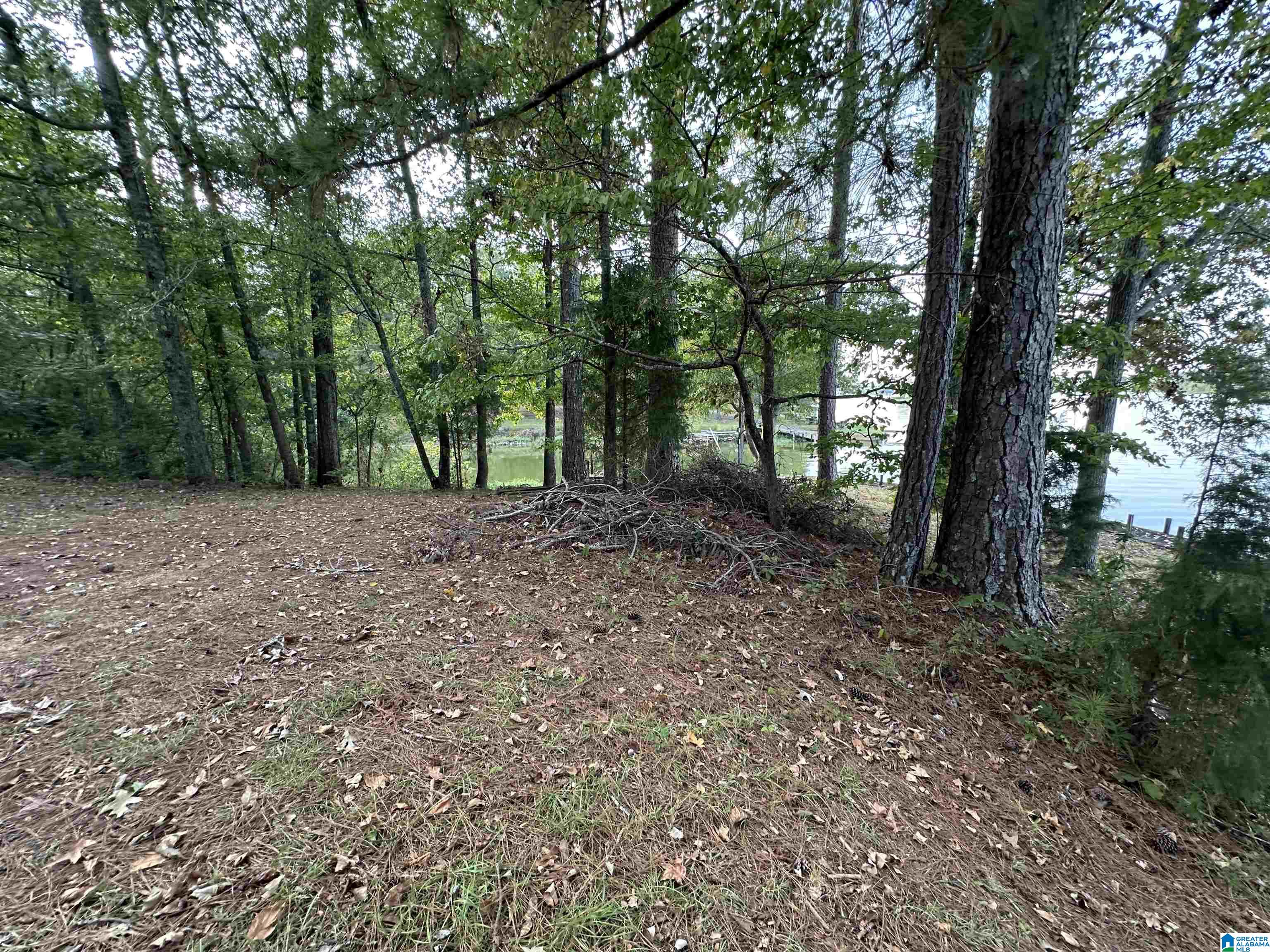 98 Lonesome Pne Road Riverside, AL 35135 - Photo 28 of 67