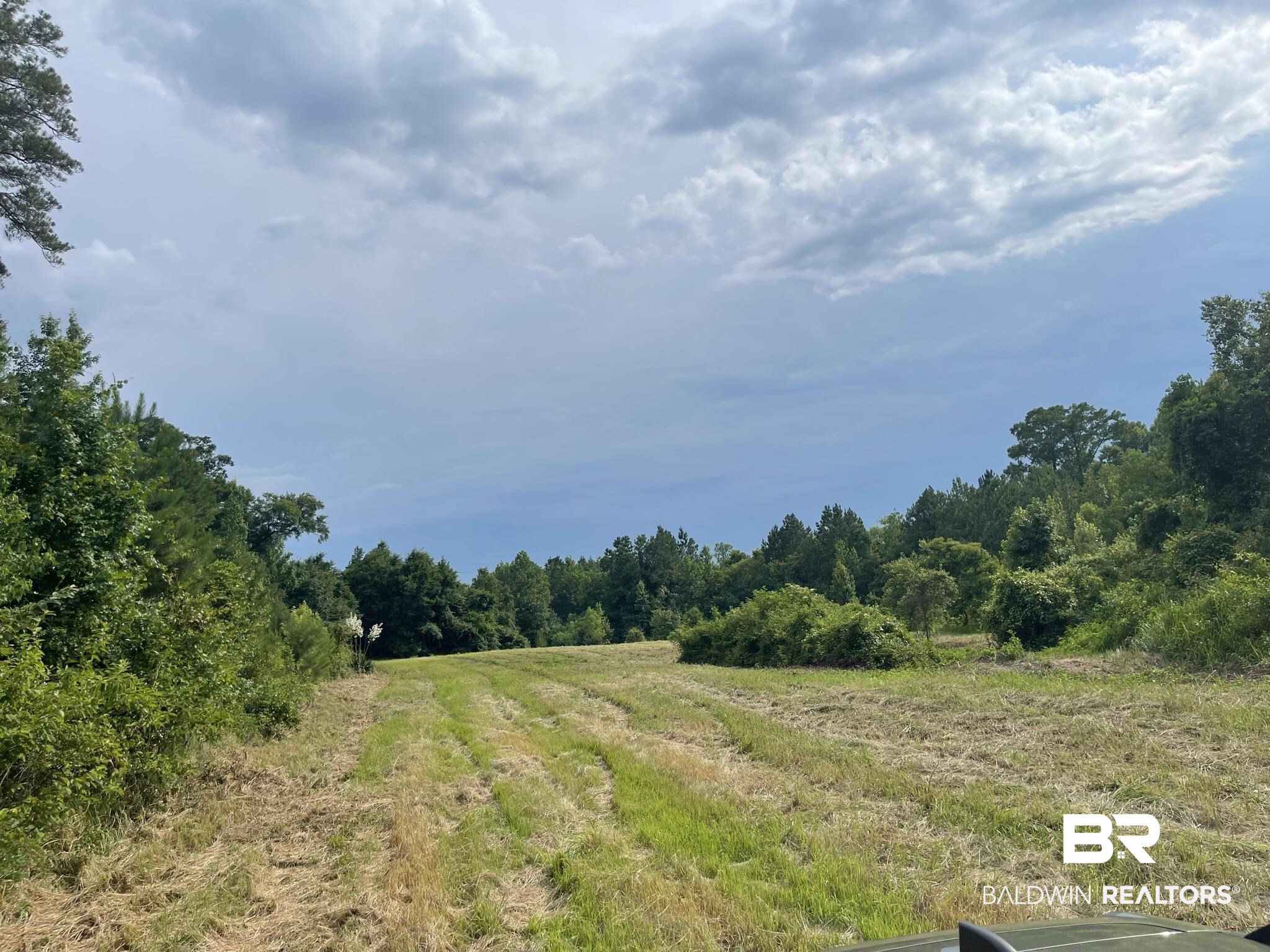 1 Highway 4 Jay, FL 32565 - Photo 5 of 50