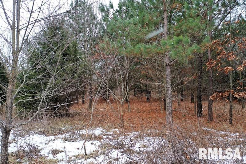 2000 Foxville Road Salem, IL 62881 - Photo 3 of 11