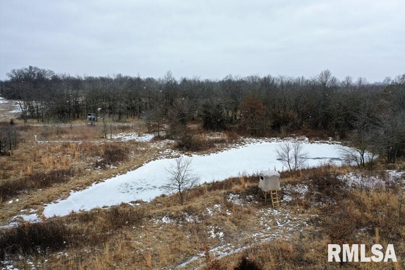 2000 Foxville Road Salem, IL 62881 - Photo 4 of 11