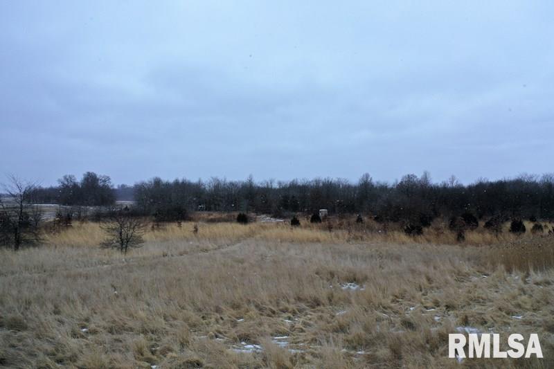 2000 Foxville Road Salem, IL 62881 - Photo 6 of 11