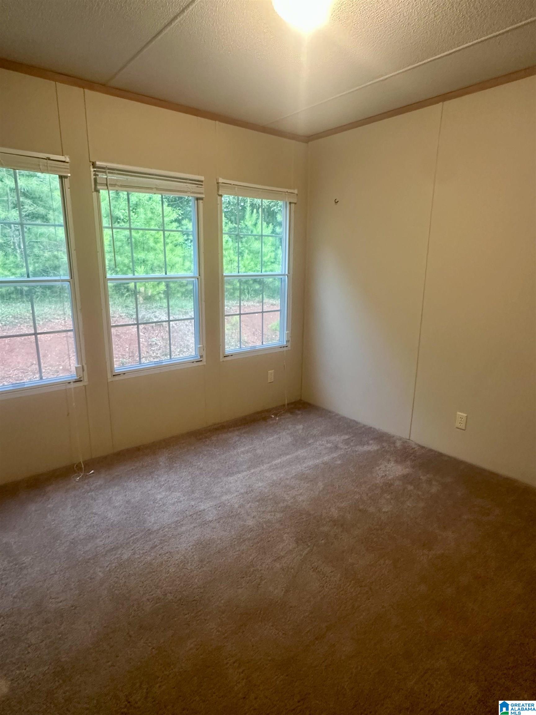 4431 Howells Cove Road Talladega, AL 35160 - Photo 11 of 21