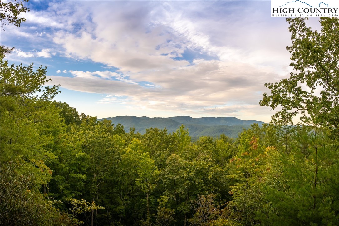 a view of a mountain range with lush green forest