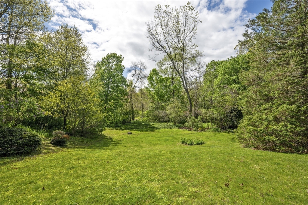 38 Lincoln Street Lexington, MA 02421 - Photo 34 of 38 a big yard with lots of green space and plants
