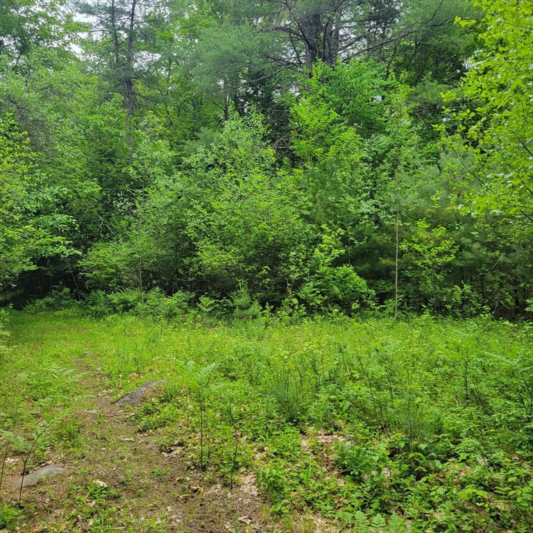 0 Stockwell Road Royalston, MA 01368 - Photo 5 of 8