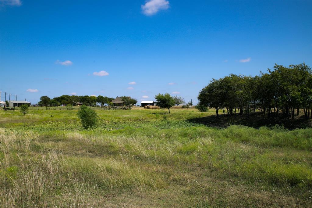 1365 Doty Road Cleburne, TX 76033 - Photo 18 of 26 a view of a grassy field with trees in the background