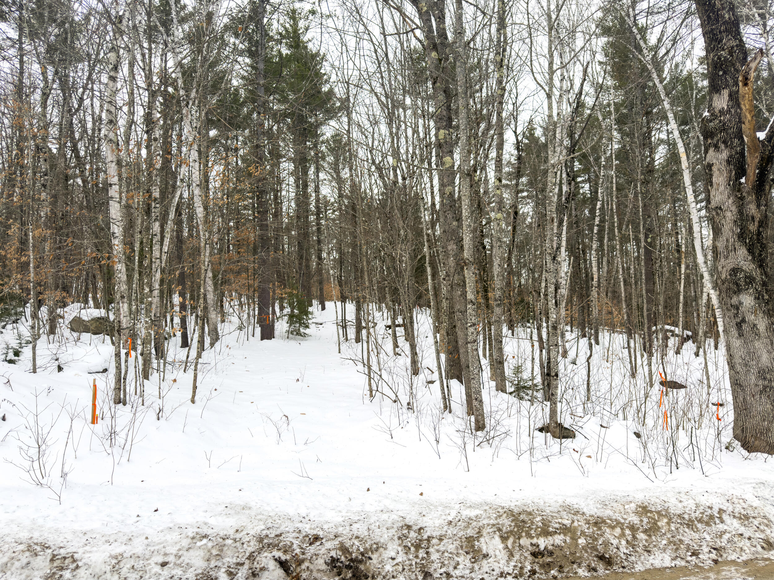 20 Virginia Lake Road Stoneham, ME 04231 - Photo 26 of 29 virginialakeland-36
