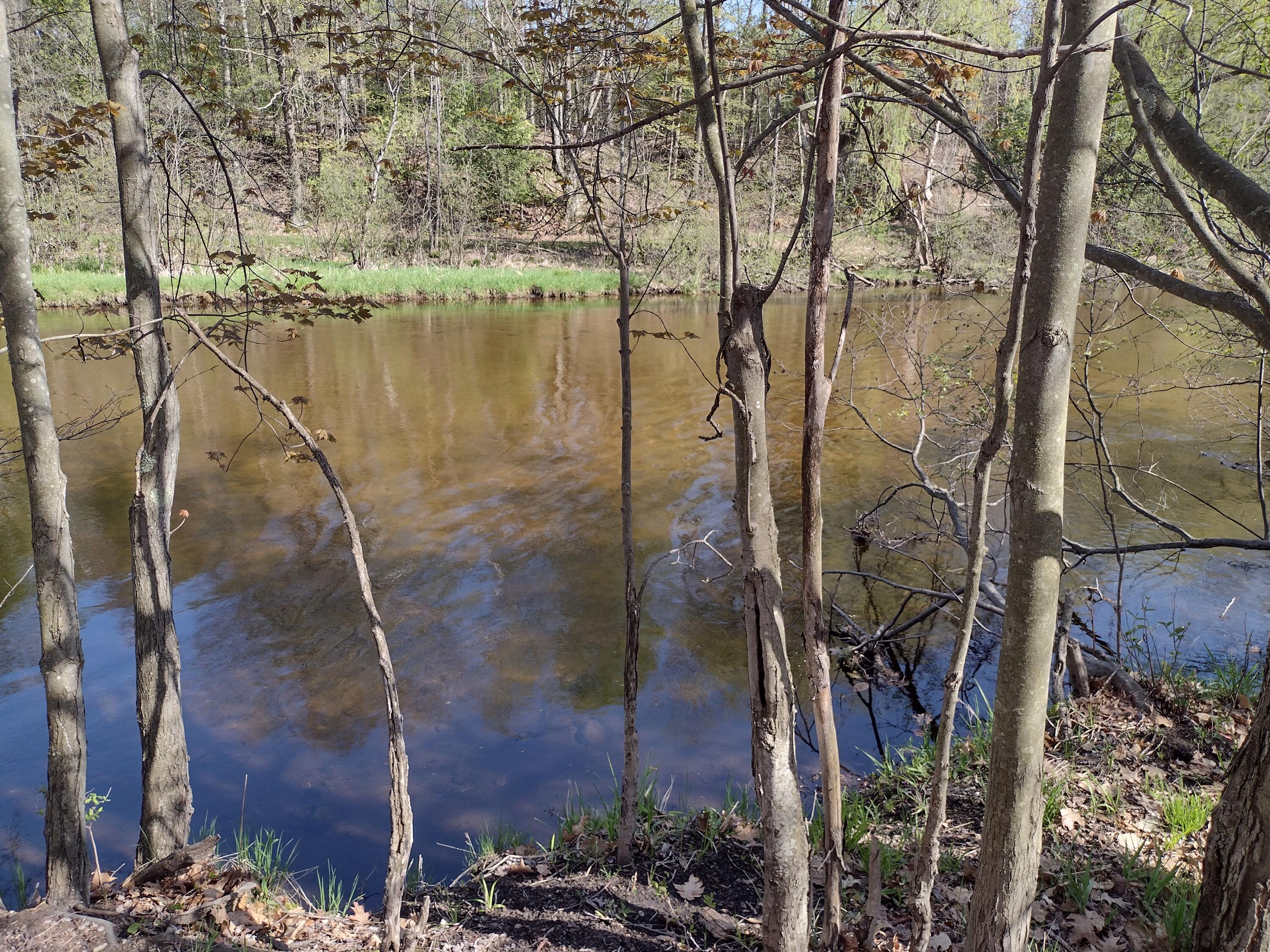 West Rhinehold Road Free Soil, MI 49411 - Photo 1 of 8 River view from parcel