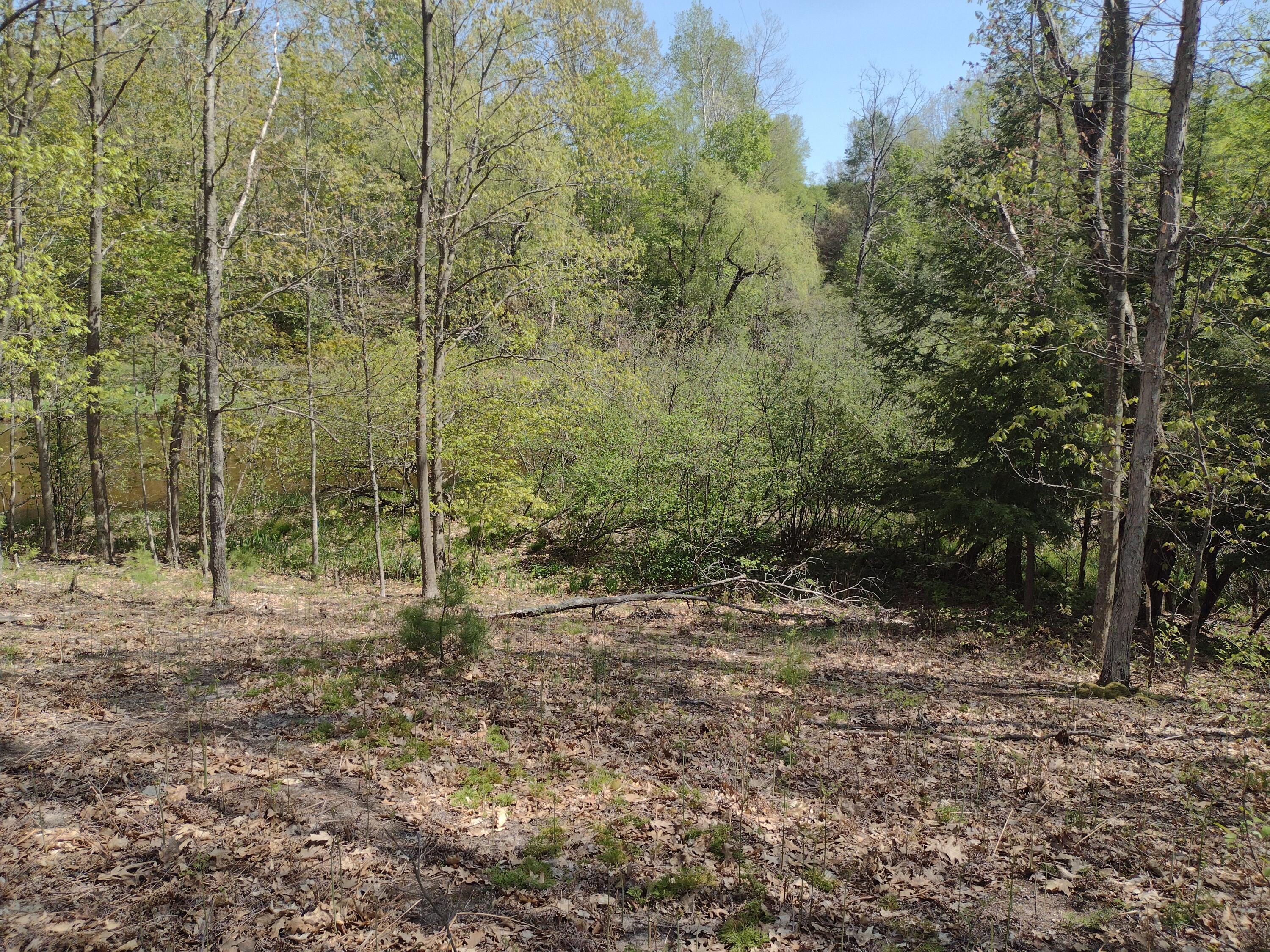 West Rhinehold Road Free Soil, MI 49411 - Photo 3 of 8 IMG_20230515_154210816