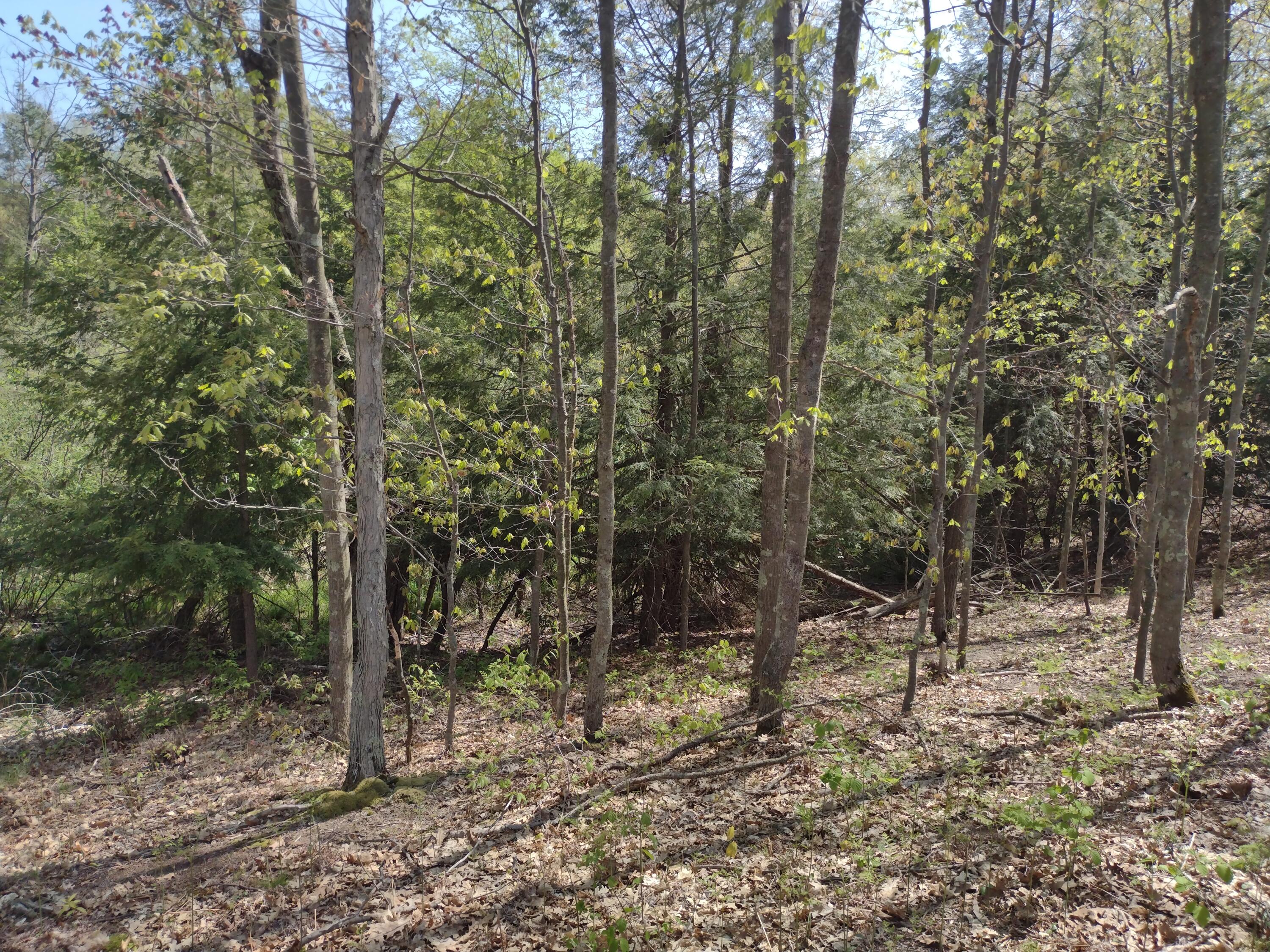 West Rhinehold Road Free Soil, MI 49411 - Photo 4 of 8 IMG_20230515_154228017