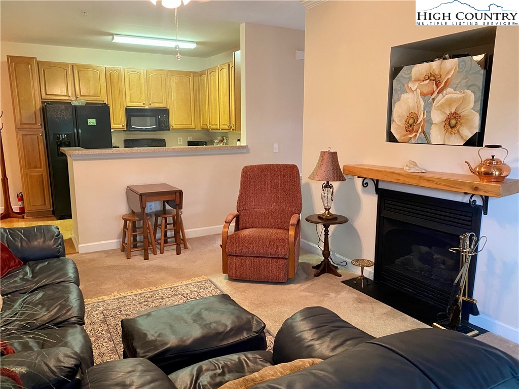 186 Cecil Miller Road, Unit 202 Boone, NC 28607 - Photo 6 of 19