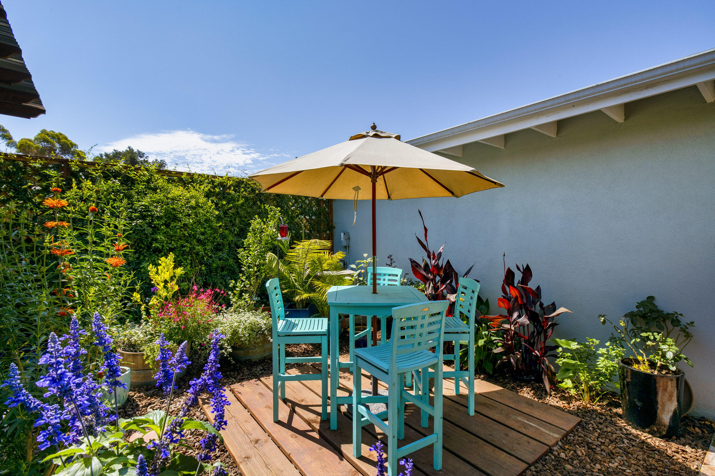 231 Ribera Drive, Unit A Santa Barbara, CA 93111 - Photo 6 of 18 a view of a potted flower in the garden