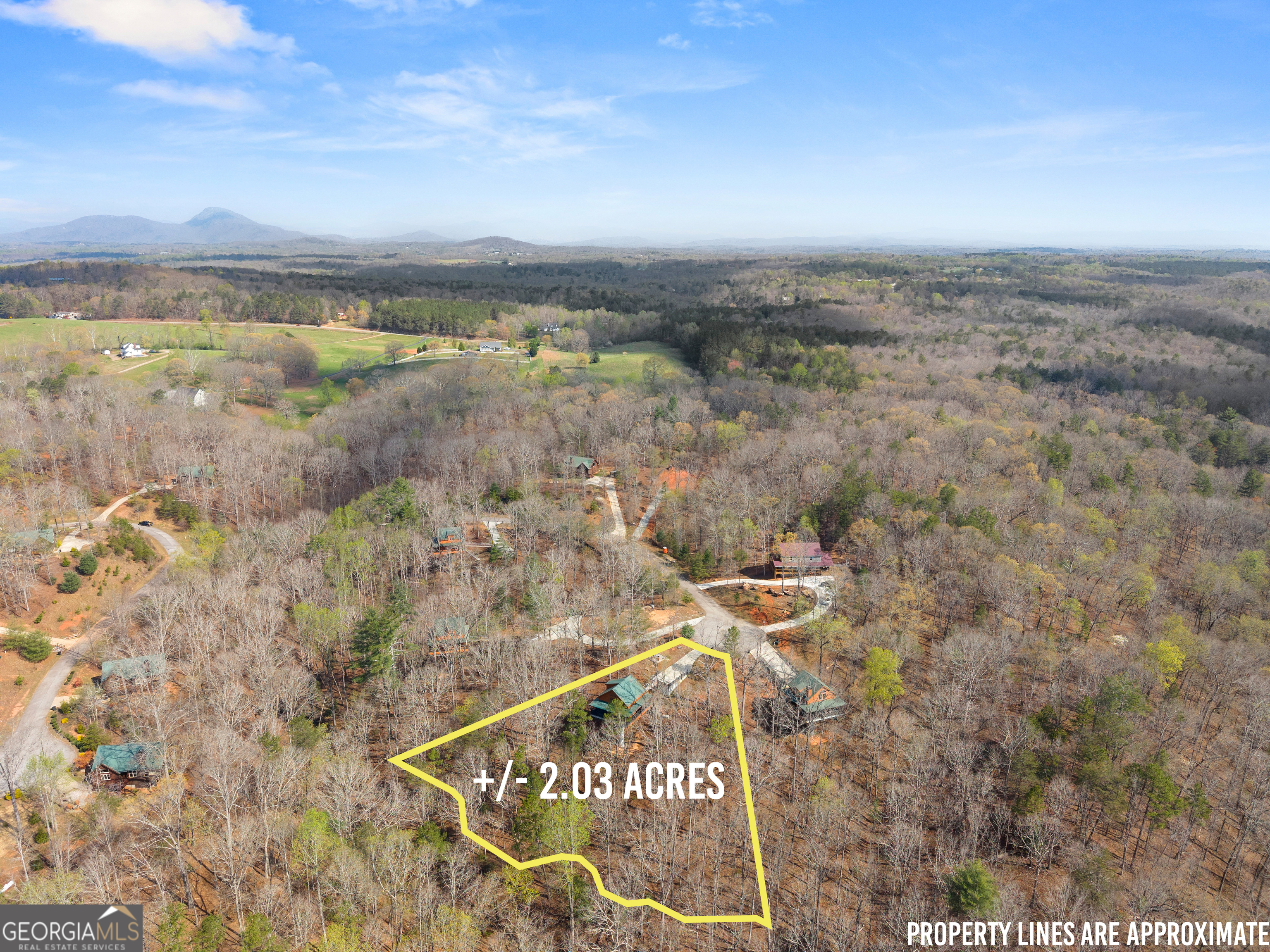 184 Walnut Ridge Drive Cleveland, GA 30528 - Photo 53 of 54