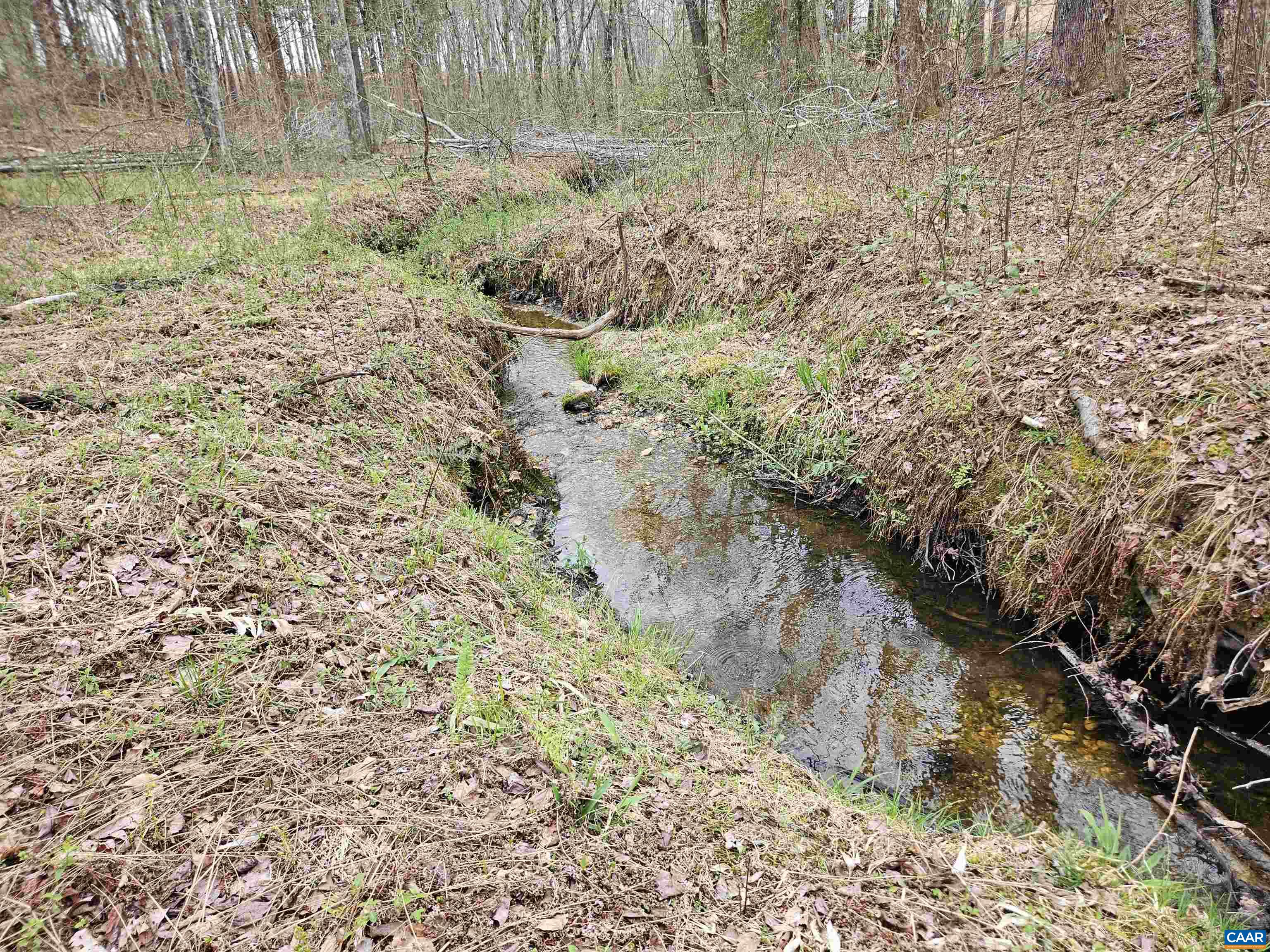 83.84-ac South James River Road South Buckingham, VA 23921 - Photo 12 of 21