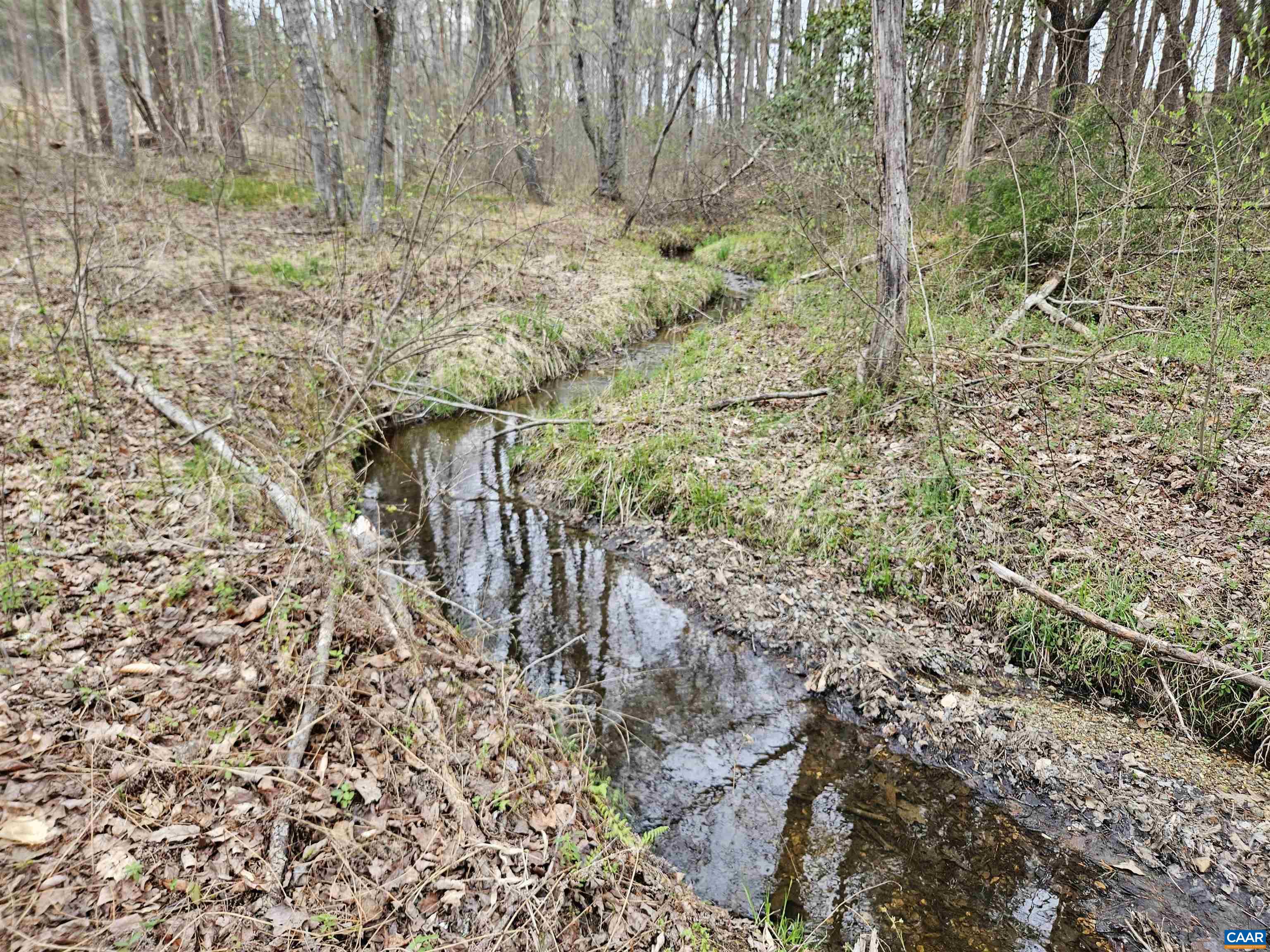 83.84-ac South James River Road South Buckingham, VA 23921 - Photo 15 of 21