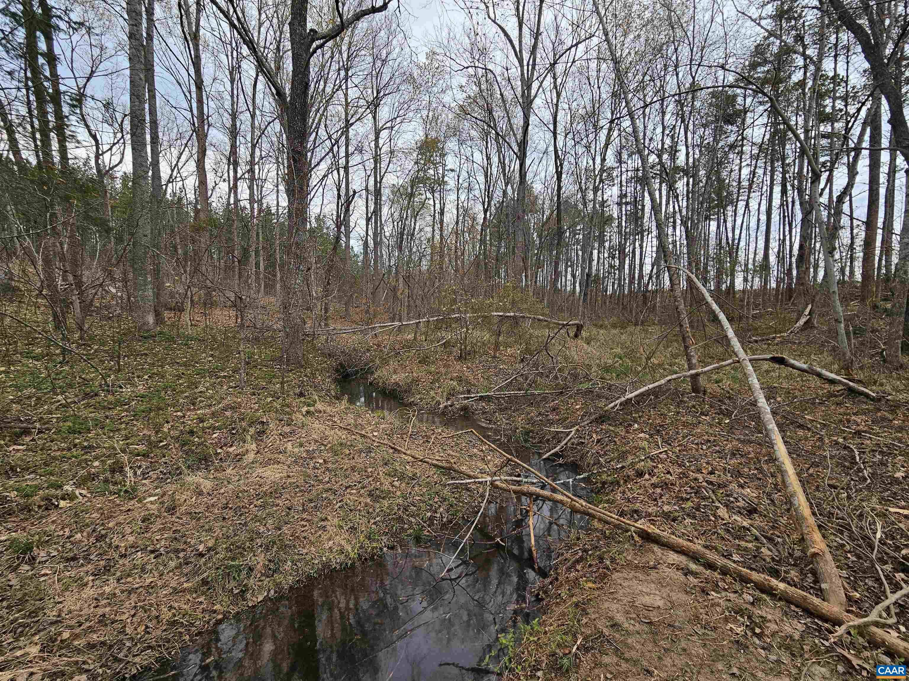 83.84-ac South James River Road South Buckingham, VA 23921 - Photo 16 of 21