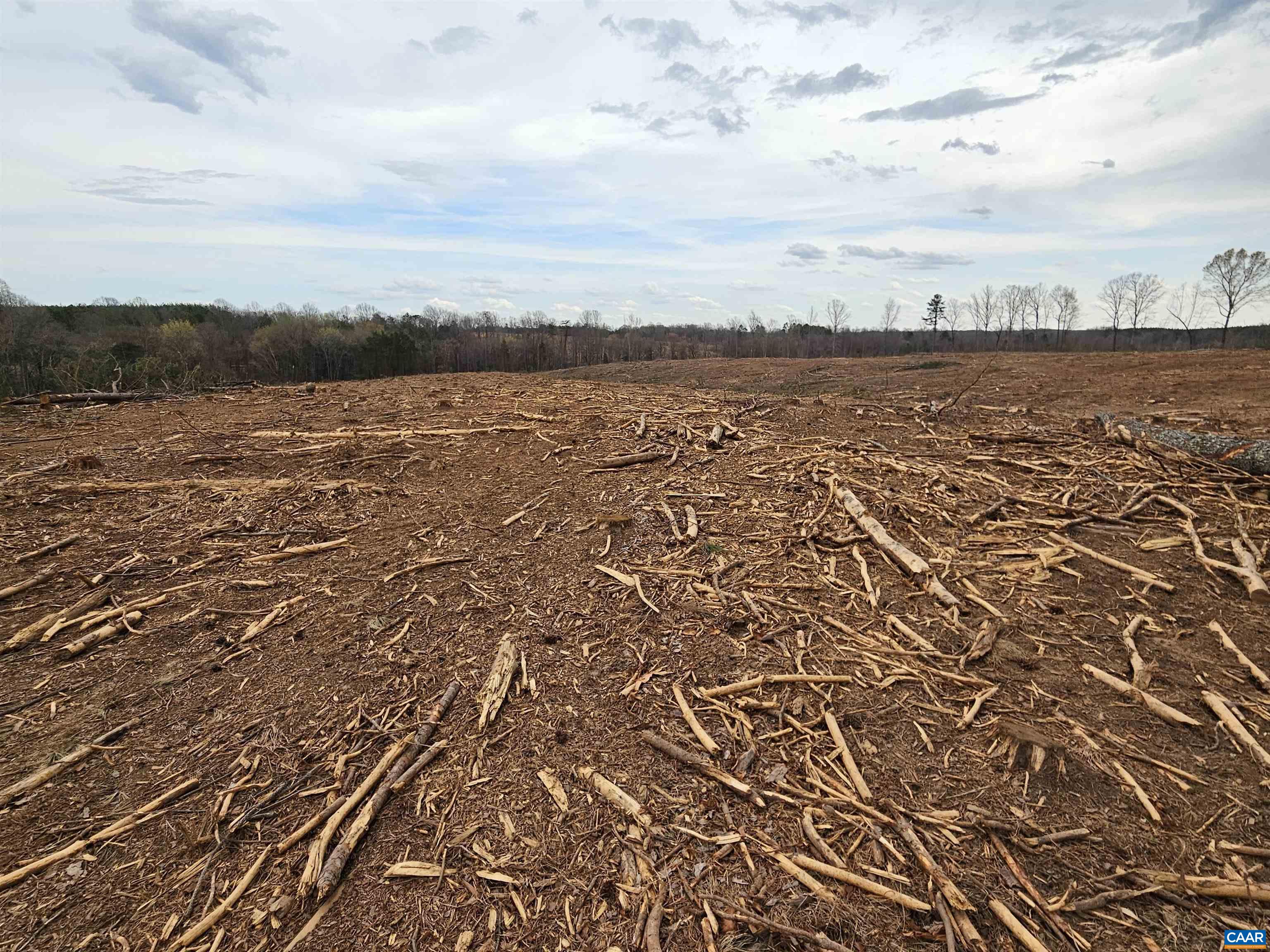 83.84-ac South James River Road South Buckingham, VA 23921 - Photo 17 of 21