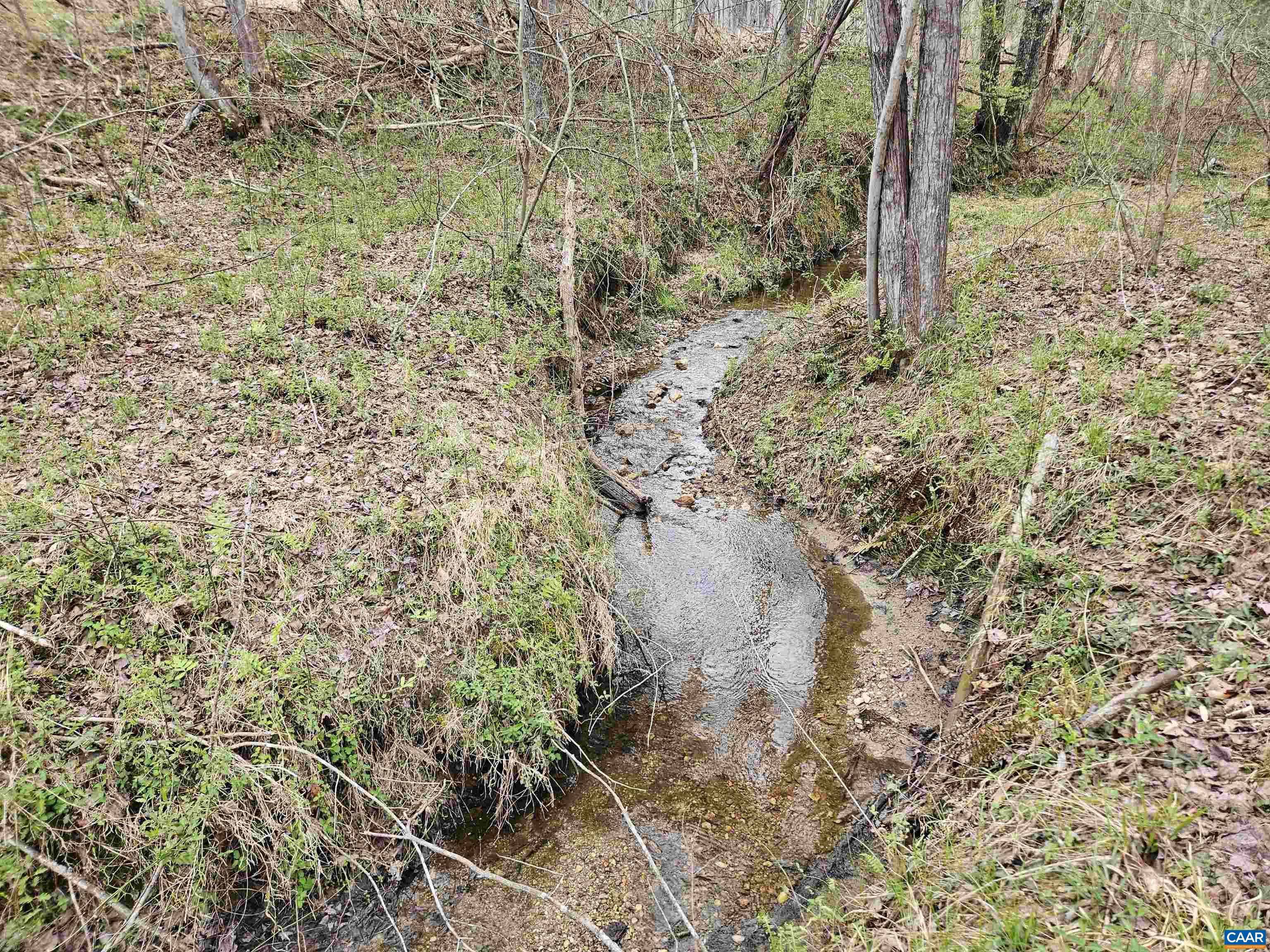 83.84-ac South James River Road South Buckingham, VA 23921 - Photo 2 of 21