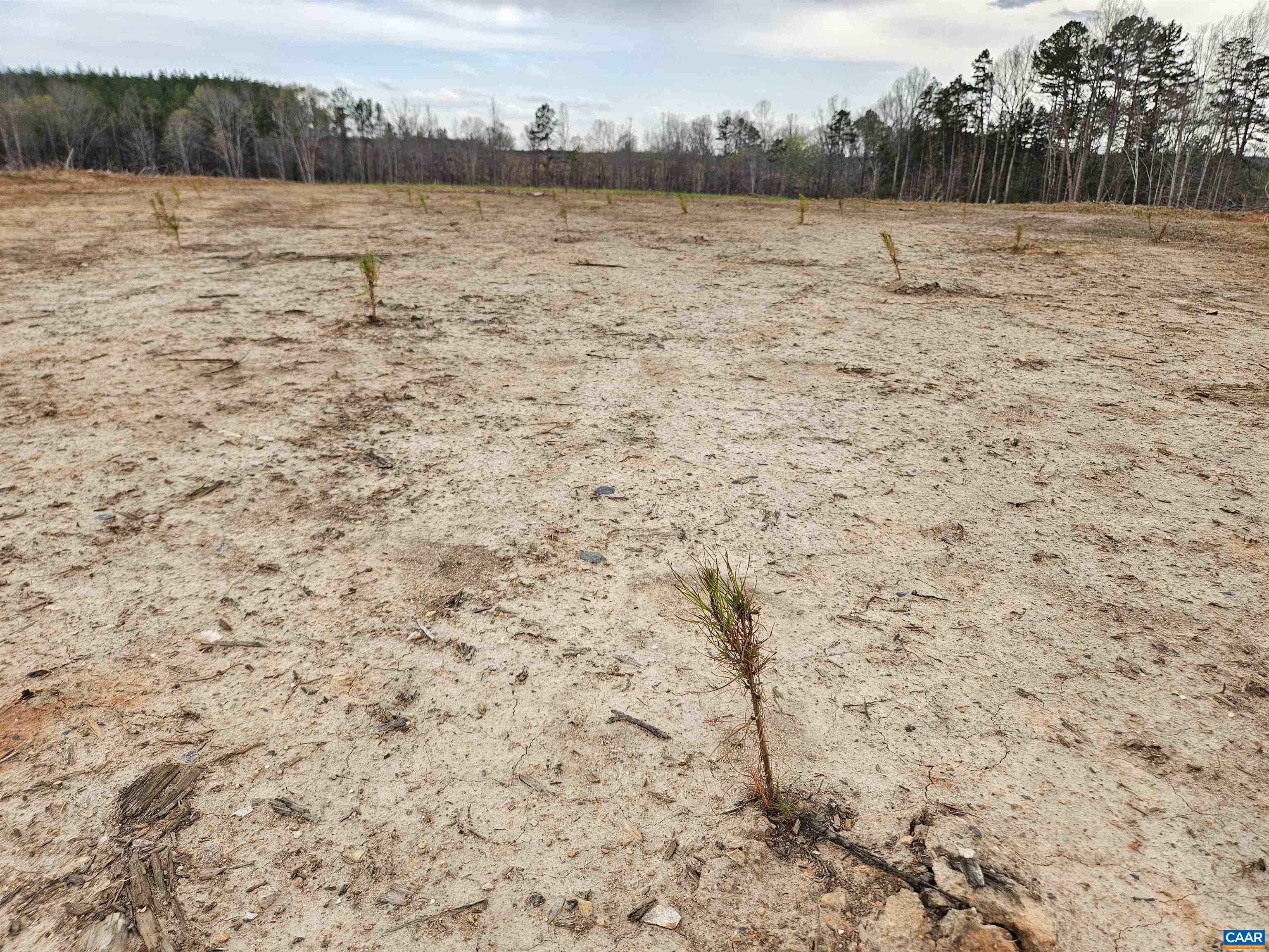 83.84-ac South James River Road South Buckingham, VA 23921 - Photo 3 of 21