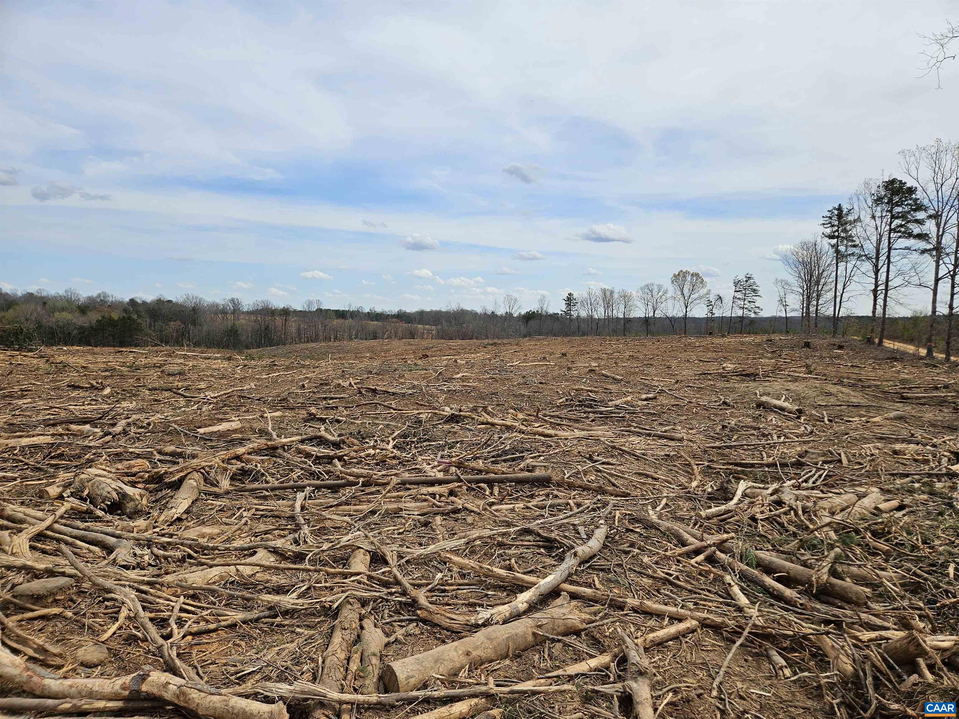 83.84-ac South James River Road South Buckingham, VA 23921 - Photo 5 of 21