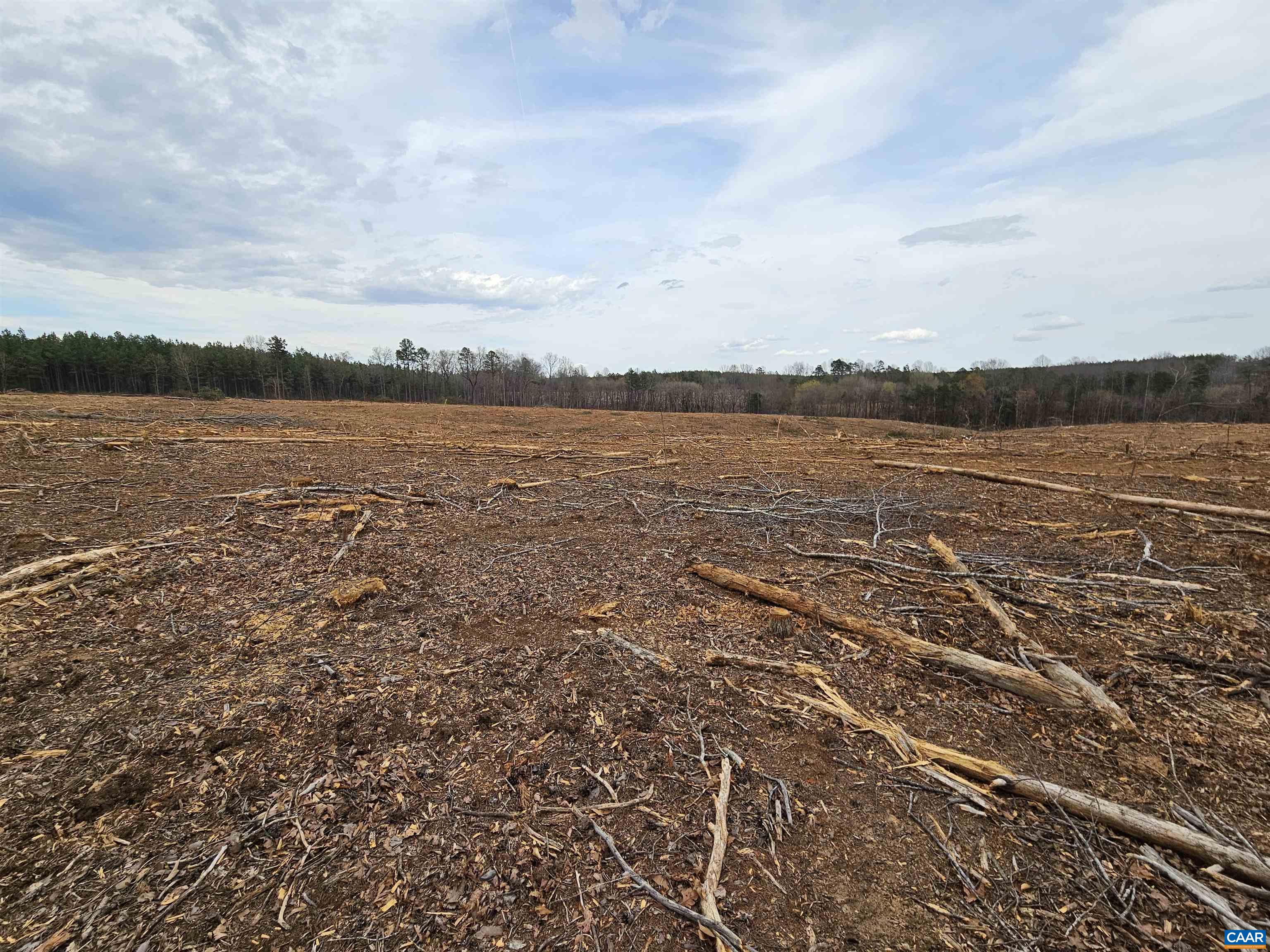 83.84-ac South James River Road South Buckingham, VA 23921 - Photo 8 of 21