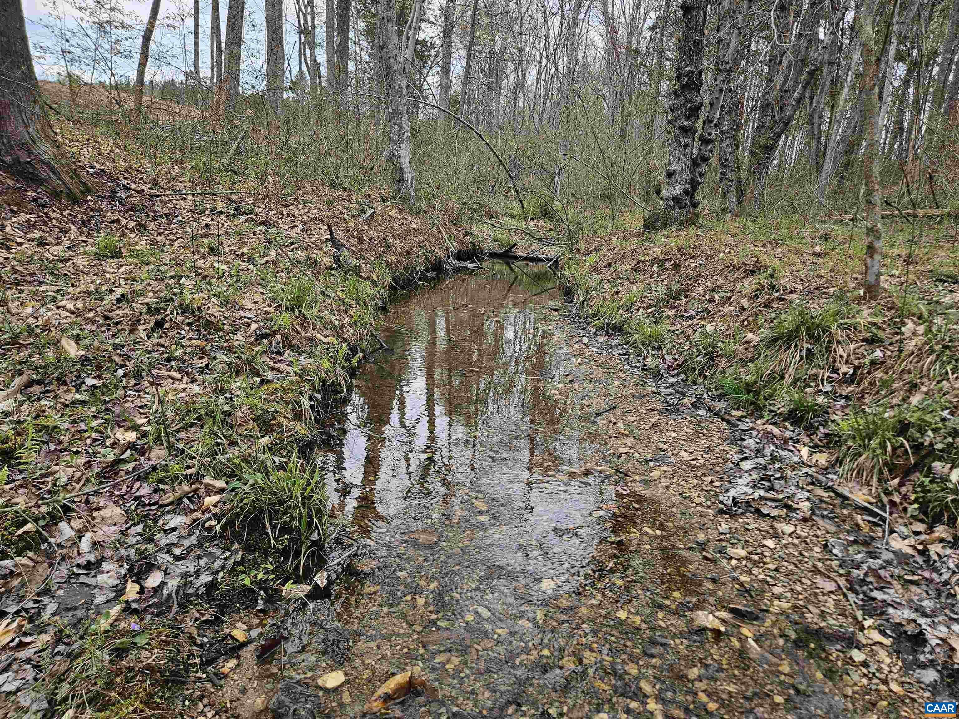 83.84-ac South James River Road South Buckingham, VA 23921 - Photo 10 of 21