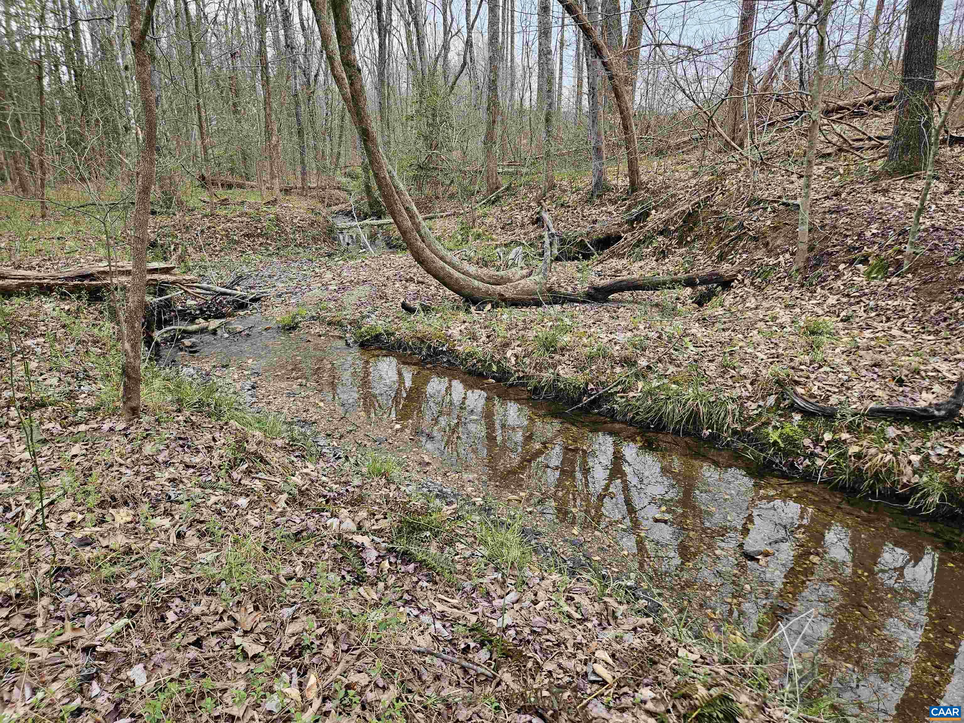 83.84-ac South James River Road South Buckingham, VA 23921 - Photo 10 of 24 a view of lake