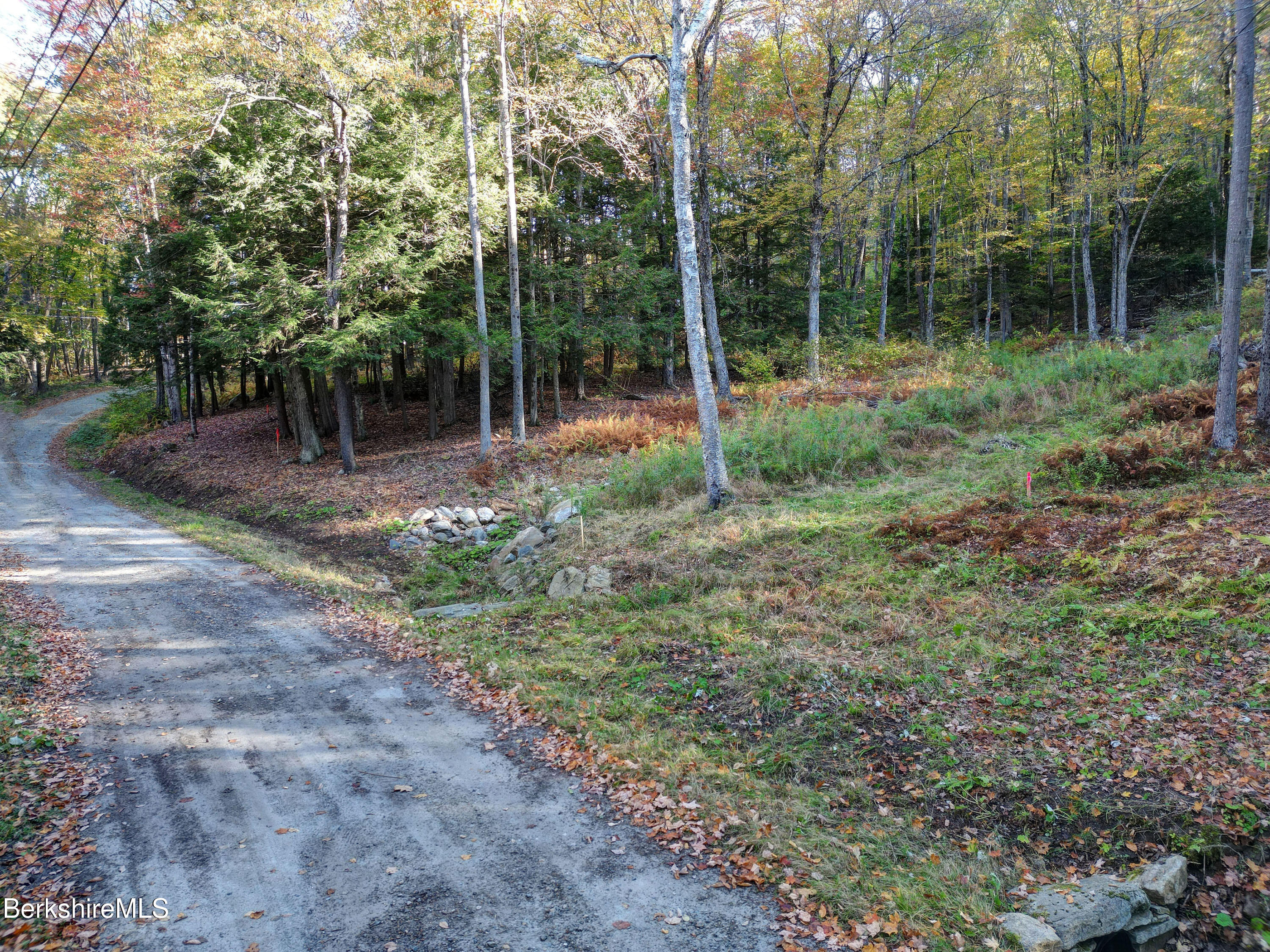 34-36 Lake View Road Hinsdale, MA 01235 - Photo 2 of 10 a view of outdoor space and tree