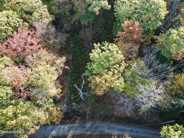 a picture of flowers