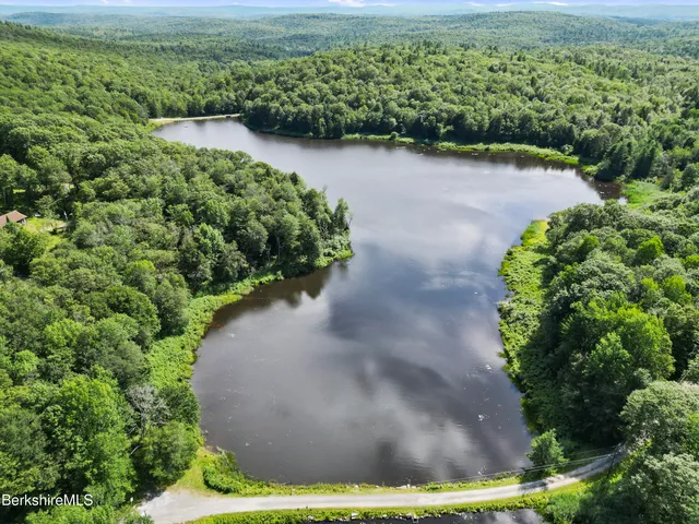 a view of a forest with trees