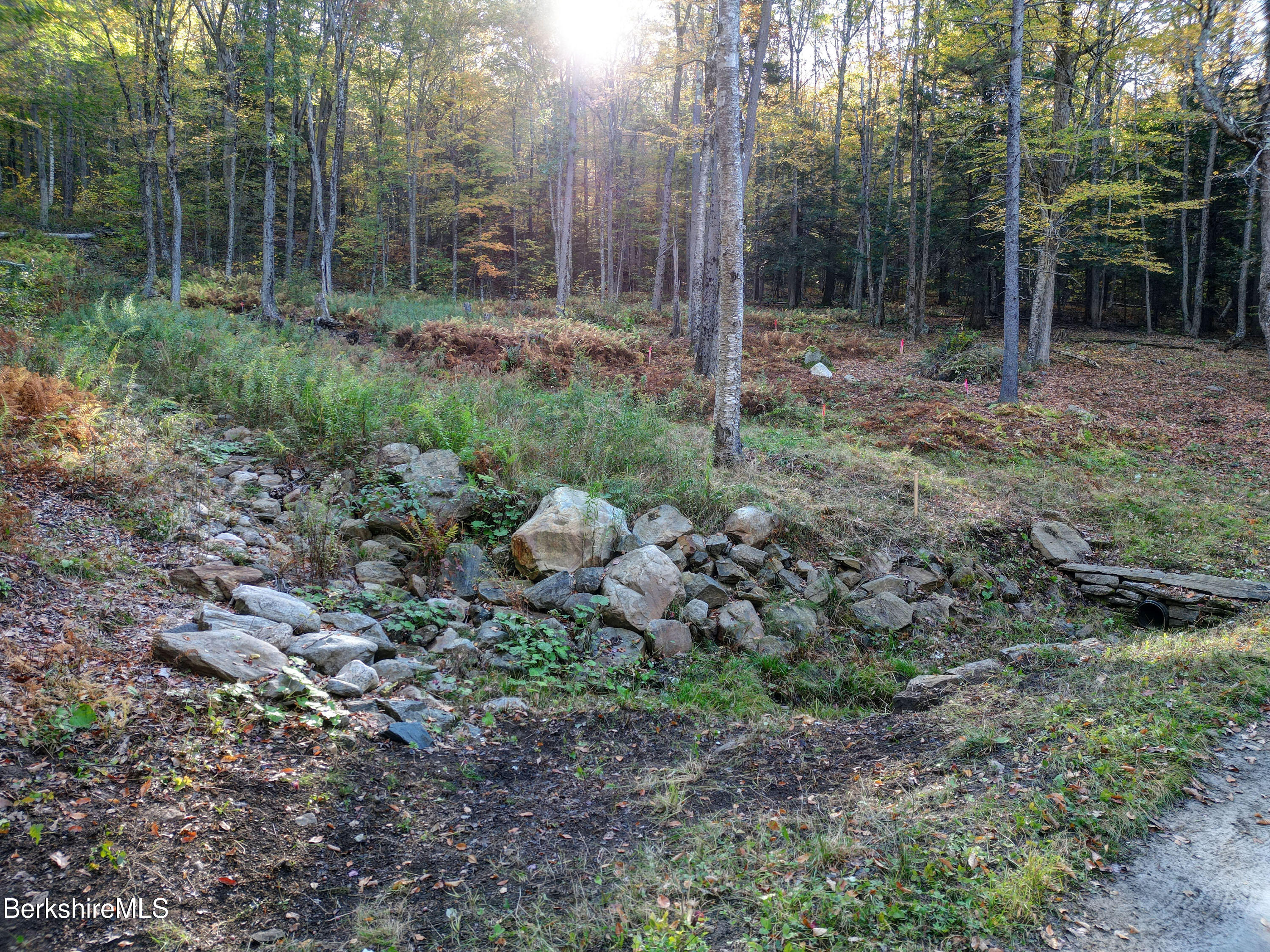 34-36 Lake View Road Hinsdale, MA 01235 - Photo 6 of 11 a view of a forest with trees