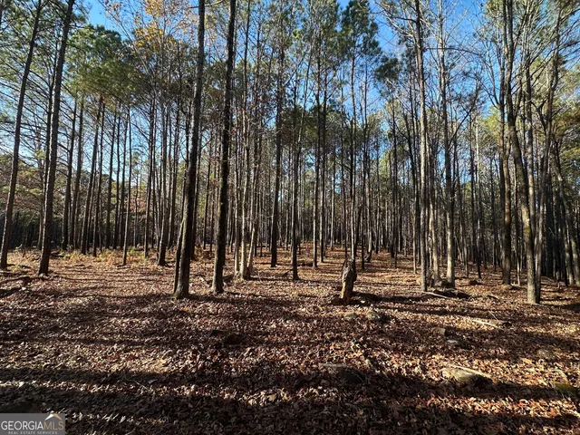 $369,999 | 202 Taylor Road, Talbotton, GA 31827