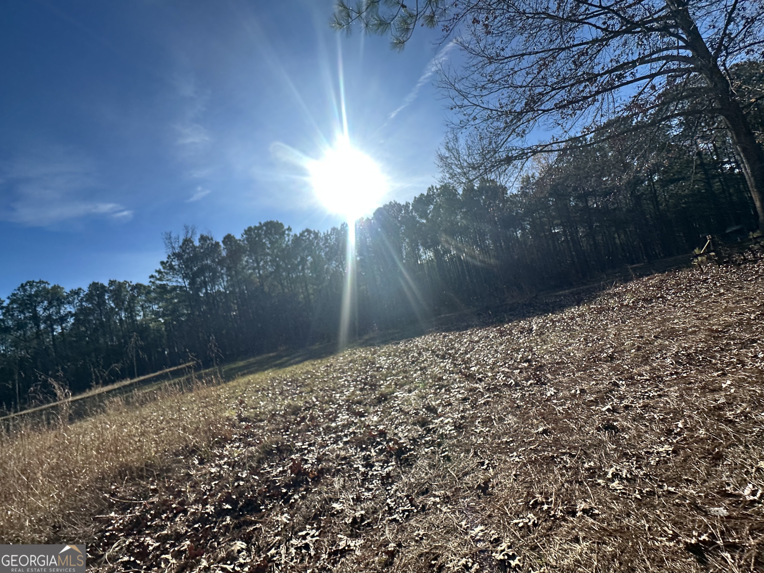 202 Taylor Road Talbotton, GA 31827 - Photo 14 of 32 a view of a yard with wooden fence