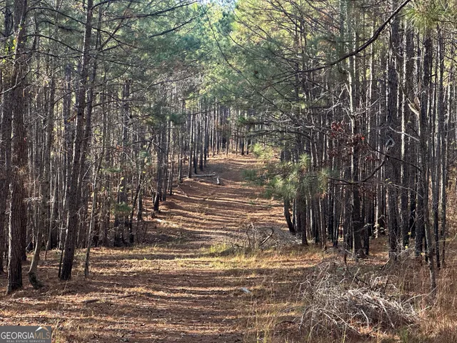 $369,999 | 202 Taylor Road, Talbotton, GA 31827