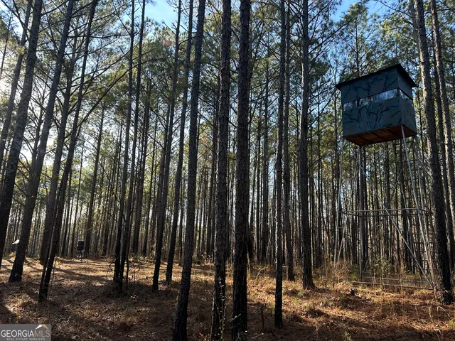 $369,999 | 202 Taylor Road, Talbotton, GA 31827