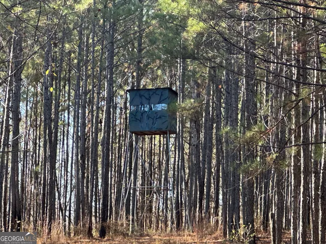 $369,999 | 202 Taylor Road, Talbotton, GA 31827