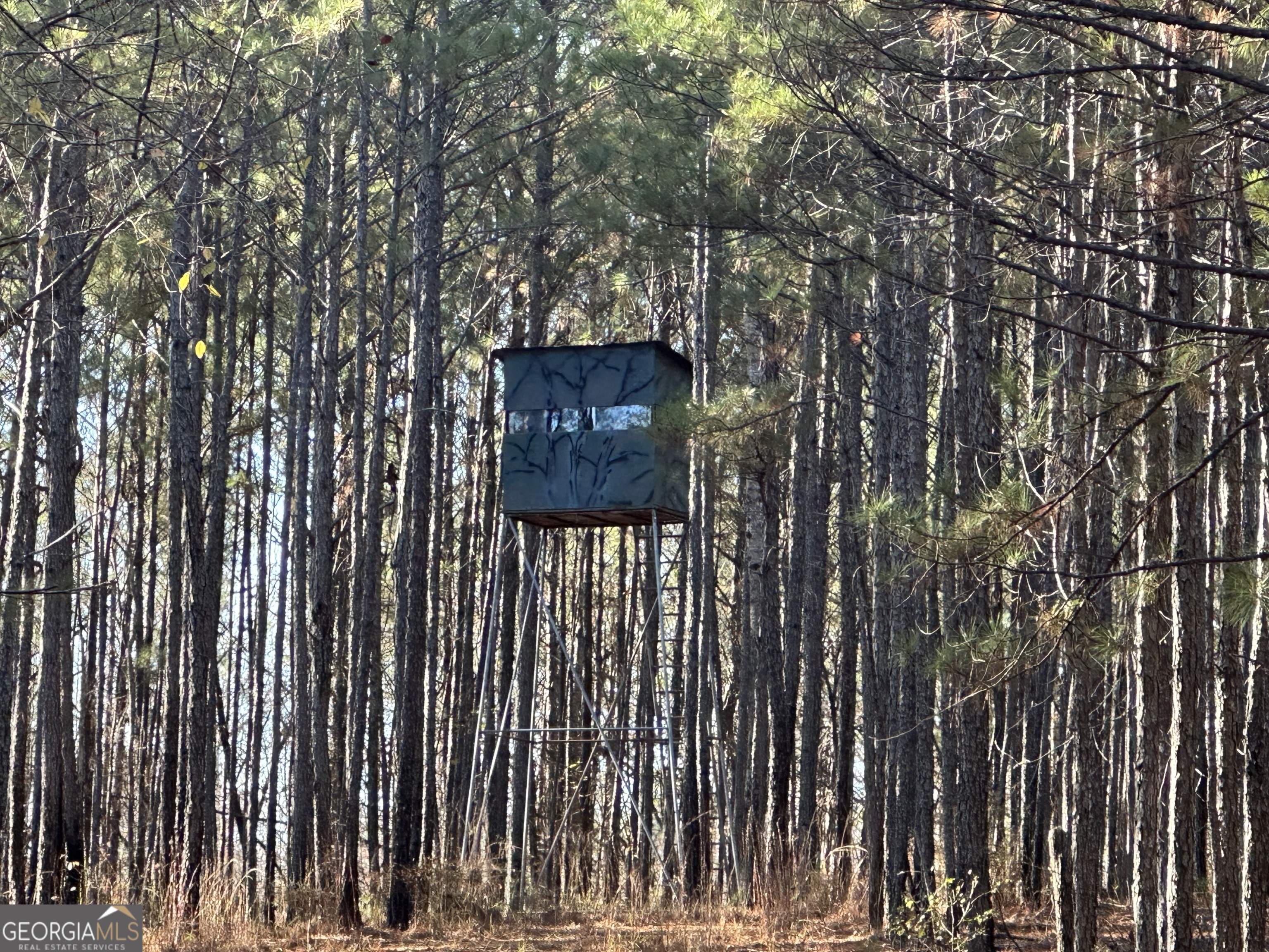 202 Taylor Road Talbotton, GA 31827 - Photo 21 of 32 a view of a wooden fence