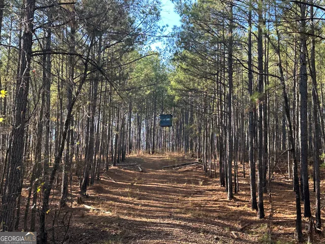 $369,999 | 202 Taylor Road, Talbotton, GA 31827