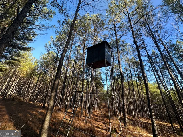 $369,999 | 202 Taylor Road, Talbotton, GA 31827