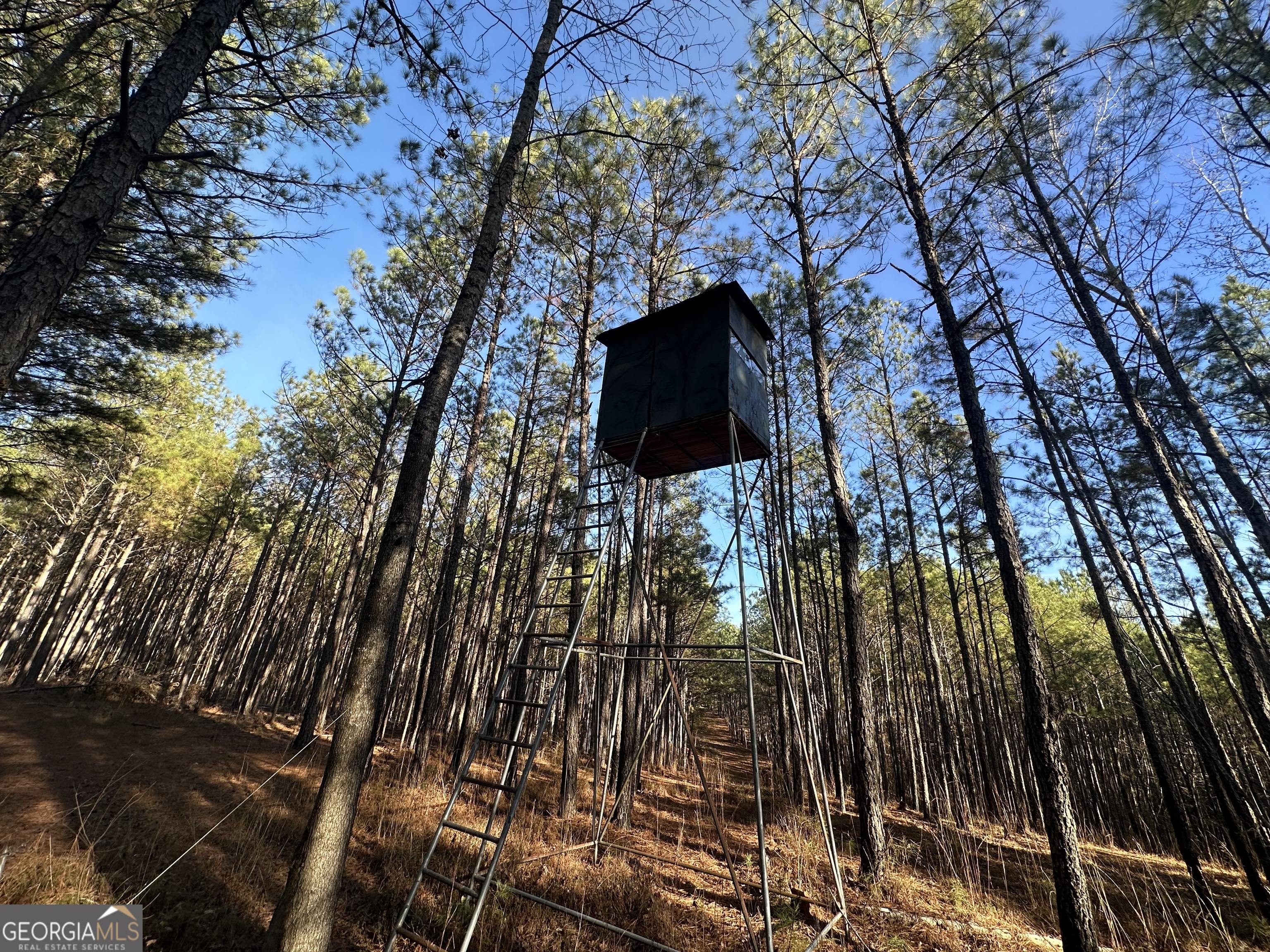 202 Taylor Road Talbotton, GA 31827 - Photo 24 of 32 a television is sitting in the middle of a yard